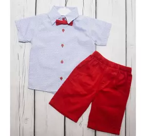 Рубашка и шорты Baby bee Choco Kids 503